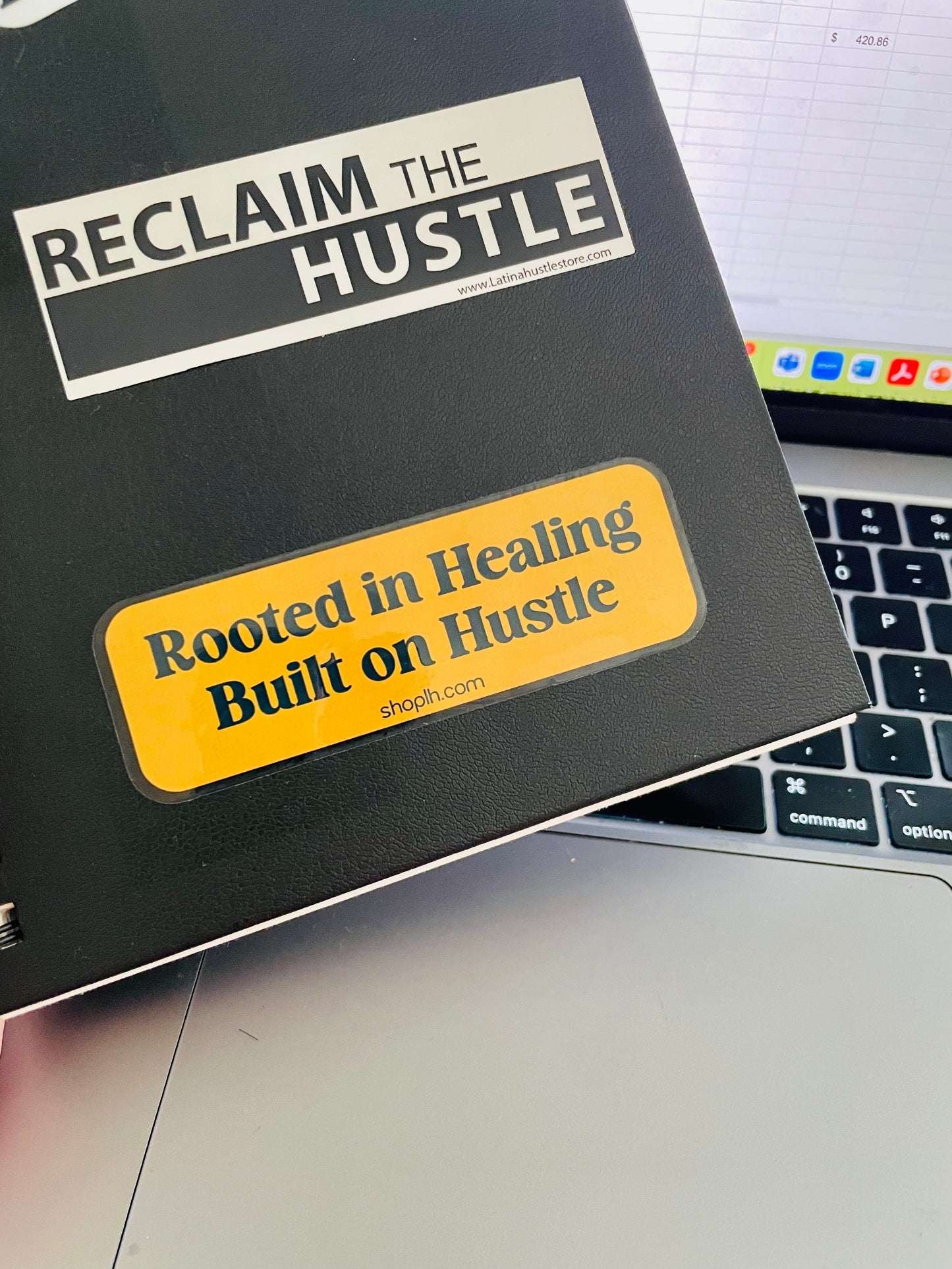 Rooted in Healing, Built on Hustle Sticker